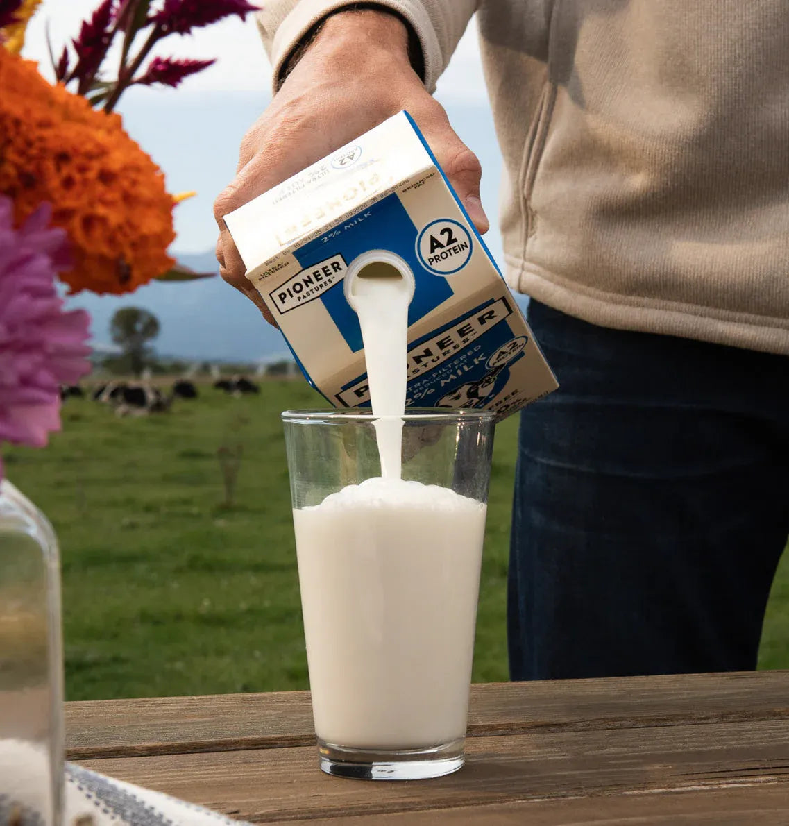 A2 Milk for Digestion: Why It Beats Regular Milk