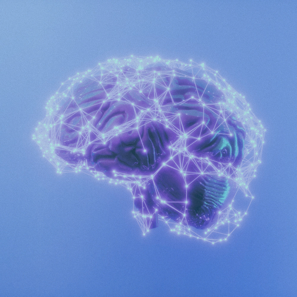How the Milk You Drink Affects Your Brain