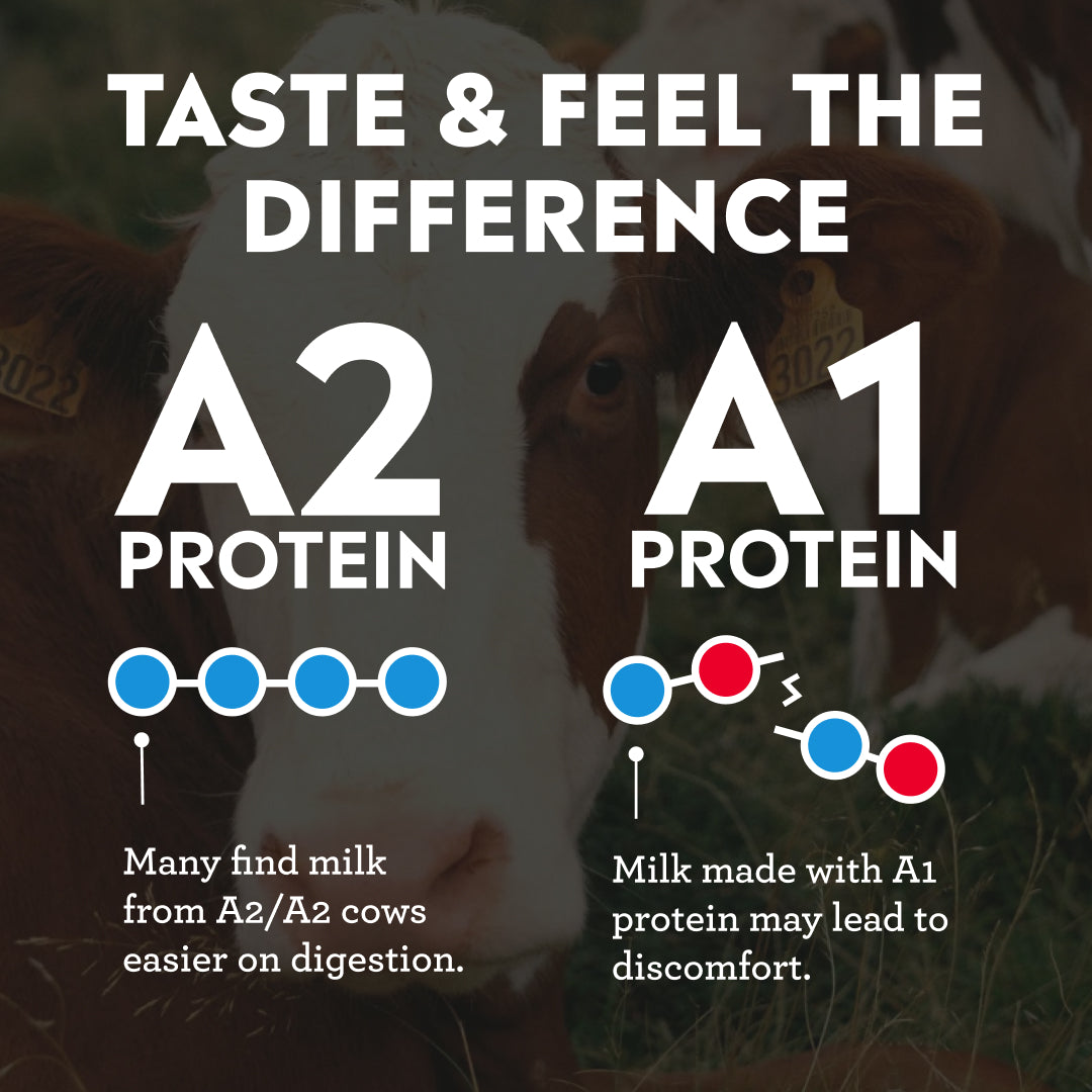 2% Reduced Fat Milk with A2 Protein, Ultra-Filtered