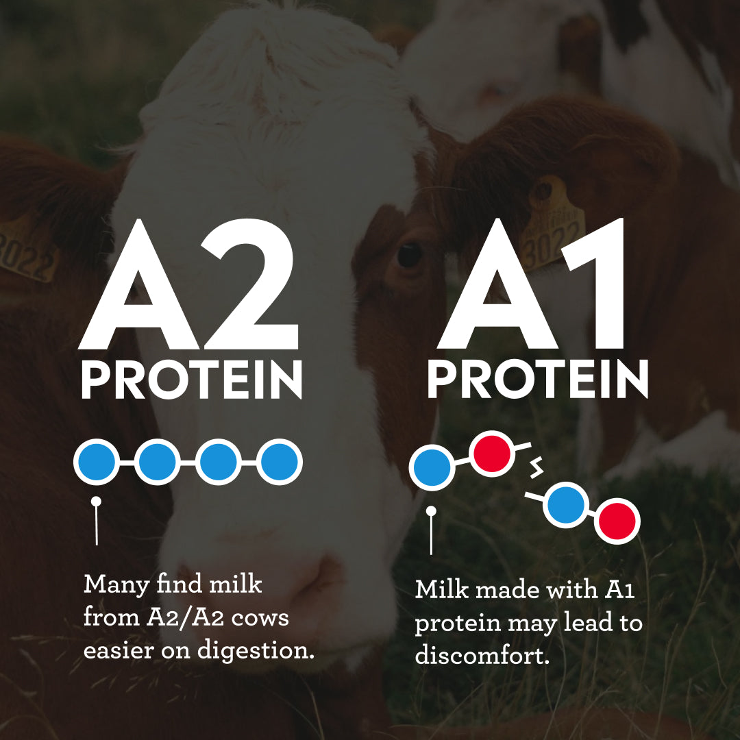2% Reduced Fat Chocolate Milk with A2 Protein, Ultra-Filtered