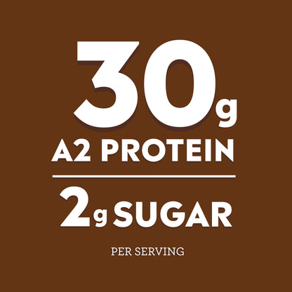 Chocolate A2 Protein Shake, Ultra-Filtered